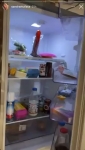video/mp4 | 200