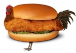 image/png | 200