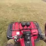 video/mp4 | 200