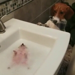 video/mp4 | 200