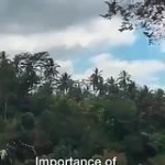 video/mp4 | 200