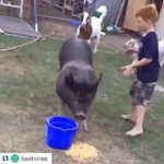 video/mp4 | 200