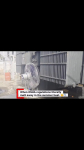 video/mp4 | 200