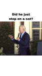 video/mp4 | 200