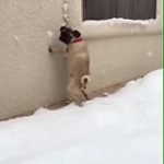 video/webm | 200