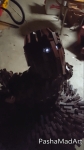 image/gif | 200