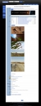 text/html | 403