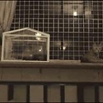 video/mp4 | 200