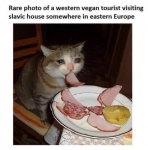 image/png | 200
