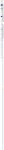 text/html | 200