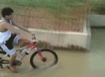 image/gif | 200