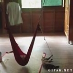 video/mp4 | 200