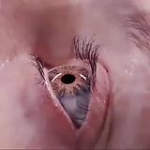 video/mp4 | 200