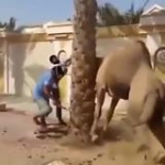 video/mp4 | 200