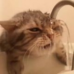 video/mp4 | 200