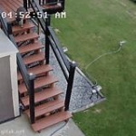 video/mp4 | 200