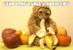 image/gif | 200