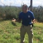 video/mp4 | 200
