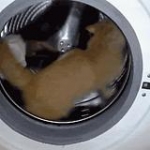 video/mp4 | 200