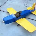 video/mp4 | 200