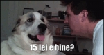 image/gif | 200