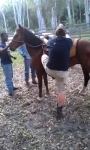 video/webm | 200