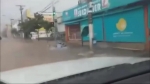 video/webm | 200