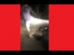 text/html; charset=utf-8 | 200