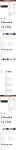 text/html;charset=UTF-8 | 200