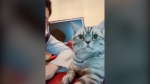video/webm | 200