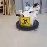 video/mp4 | 200