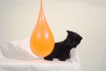 image/gif | 200