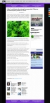 text/html | 200