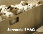 image/gif | 200