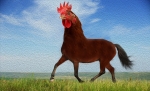 image/png | 200