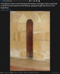 image/png | 200
