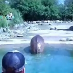 video/mp4 | 200