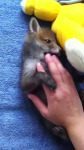 video/webm | 200