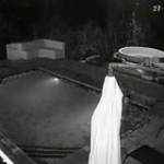 video/mp4 | 200