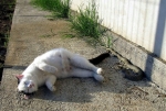 image/jpeg | 200