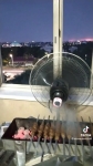 video/mp4 | 200