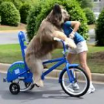 video/mp4 | 200