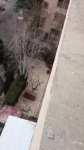 video/webm | 200