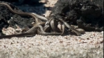 video/webm | 200