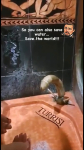 video/mp4 | 200