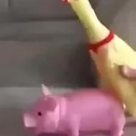 video/mp4 | 200