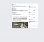 text/html; charset="utf-8" | 200