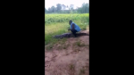 video/mp4 | 200