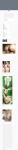 text/html; charset=UTF-8 | 200