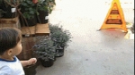image/gif | 200